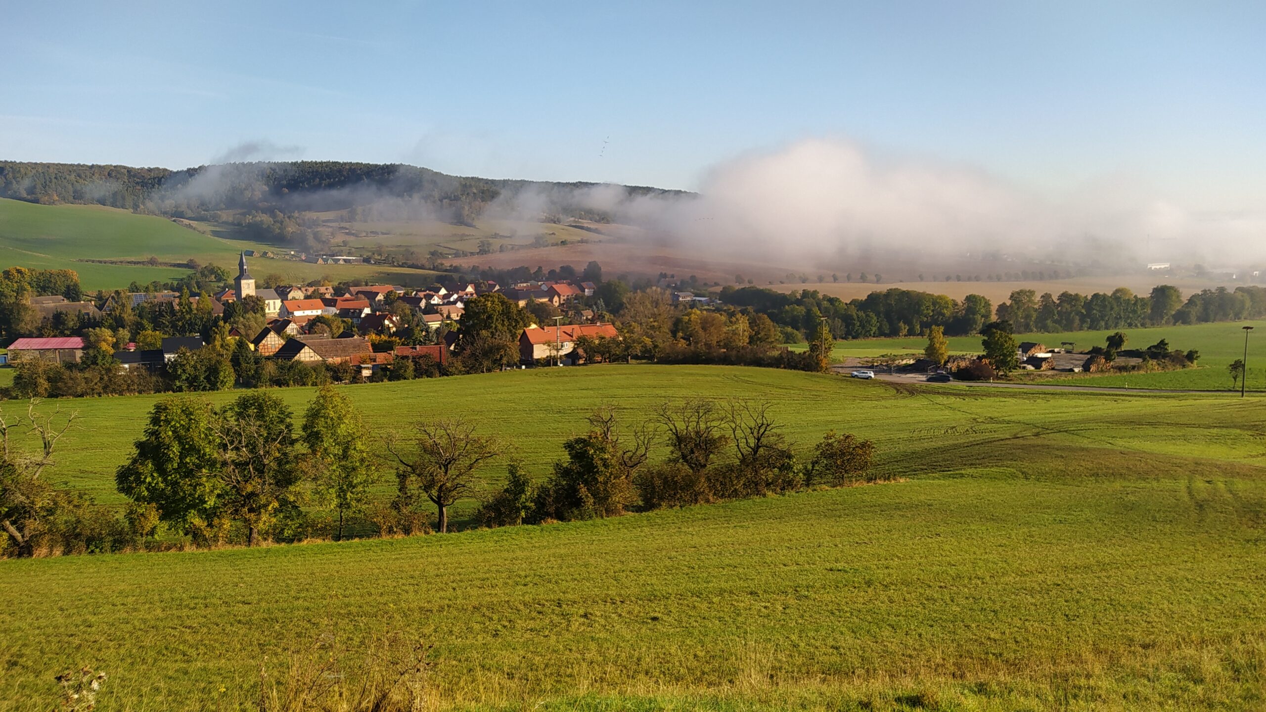 Das Foto zeigt im Hintergrund Häuser der Orts Rabis, im Vordergrund Weiden.