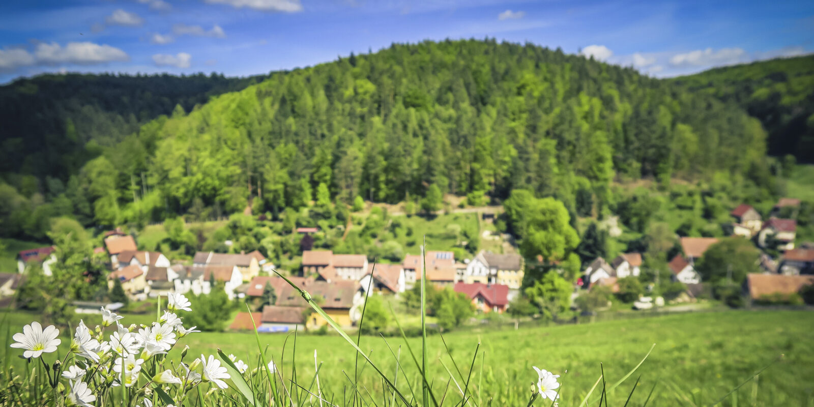 Gemeinsam für Attraktivität und Lebensqualität auf dem Land.